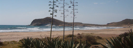 Cabo de Gata Center