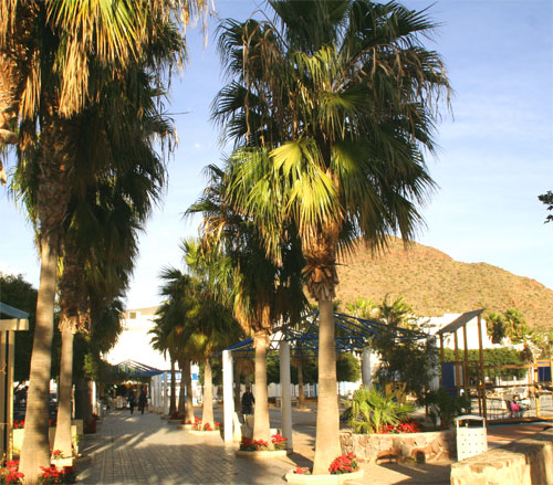 Parque Natural Cabo de Gata-Njar. San Jos