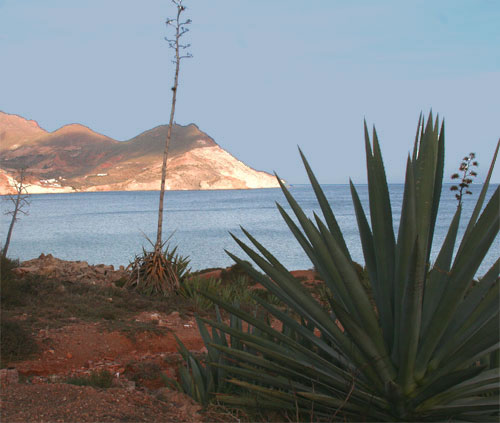 Parque Natural Cabo de Gata-Níjar. San José