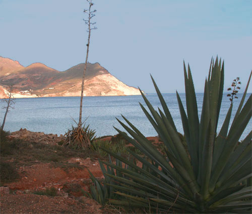 Parque Natural Cabo de Gata-Njar. San Jos